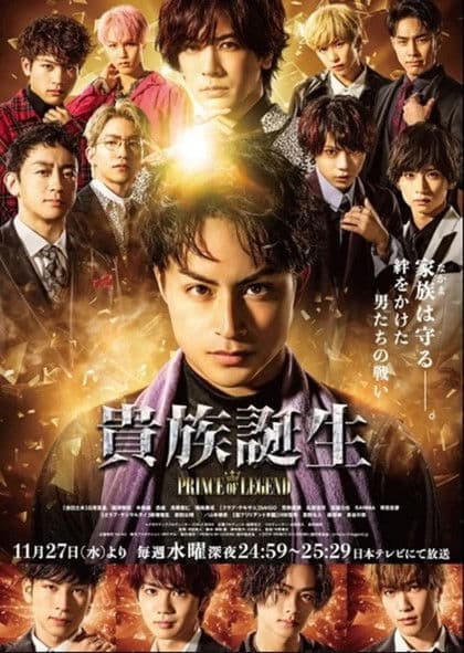 Aristocratic Birth -PRINCE OF LEGEND- poster