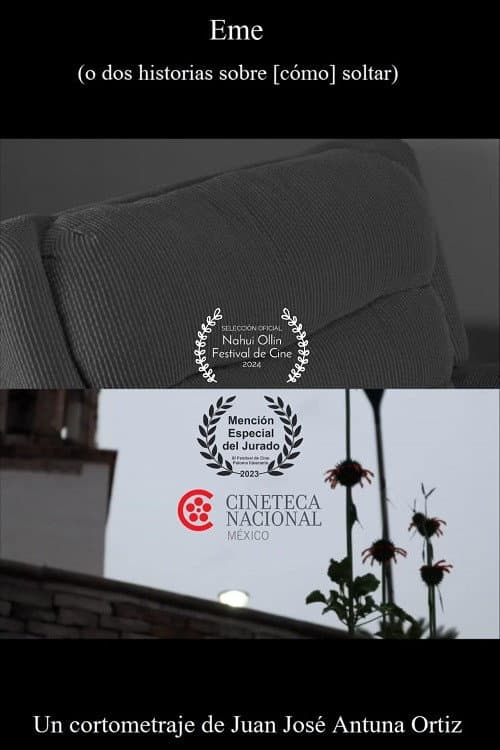 Eme (o dos historias sobre [cómo] soltar) poster