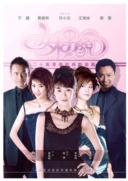 女才男貌 poster