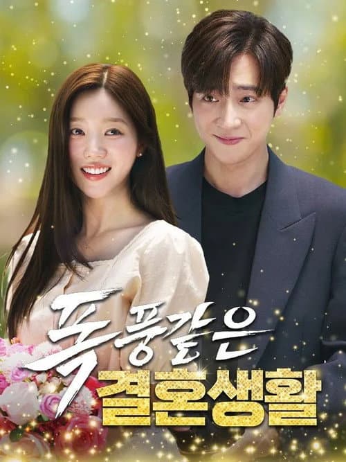 폭풍같은 결혼생활 poster