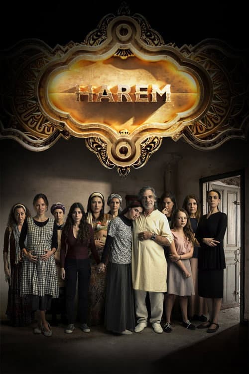 Harem poster