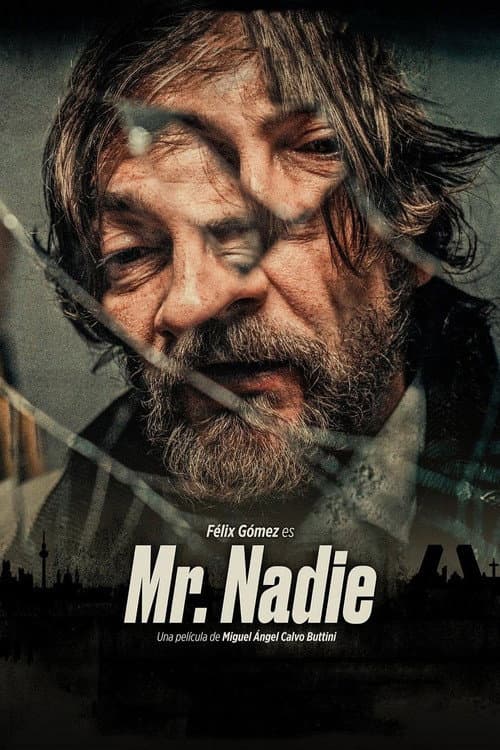 Mr. No One poster