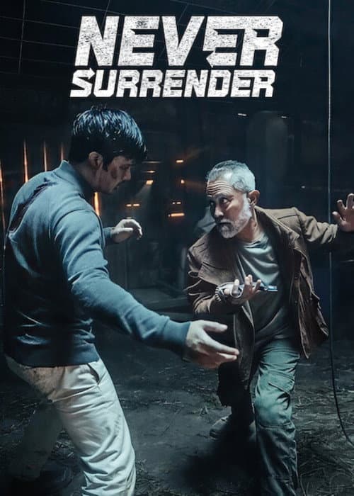 Never Surrender poster