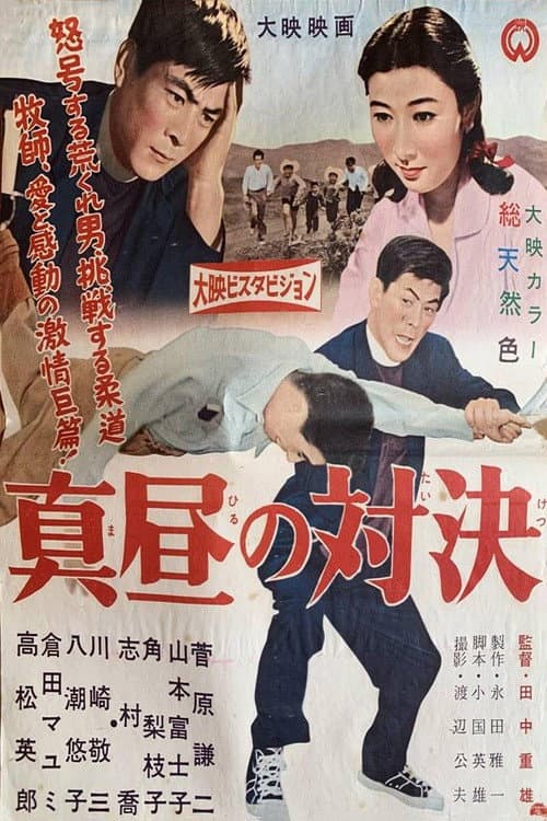 Duel at Noon poster