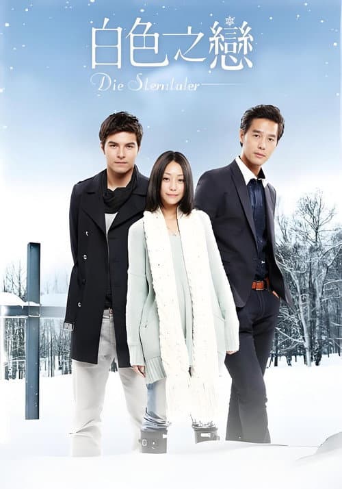 Die Sterntaler poster