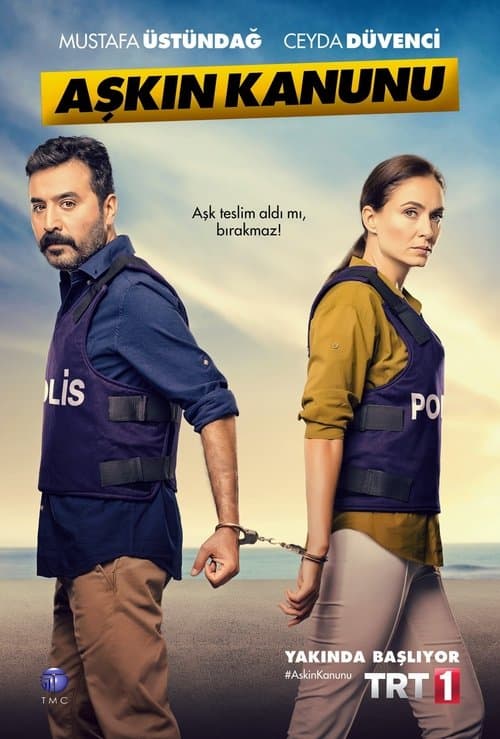 Aşkın Kanunu poster
