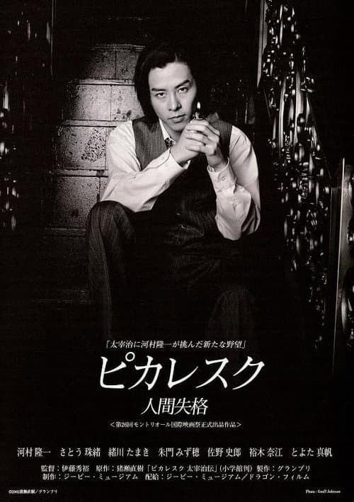 Picaresque poster