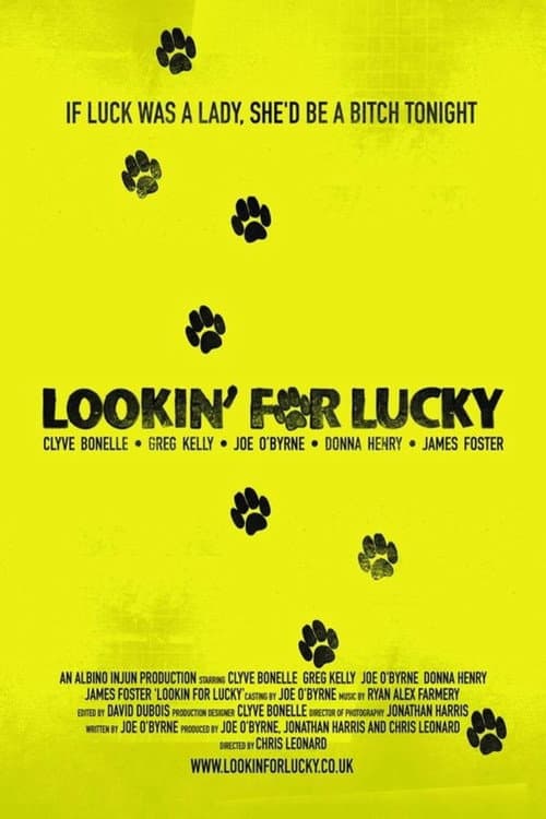 Lookin' For Lucky poster