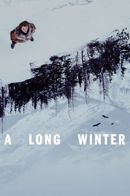 A Long Winter poster