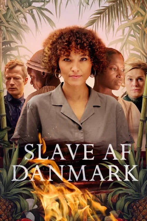 Slave af Danmark poster