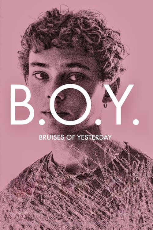B.O.Y.: Bruises of Yesterday poster