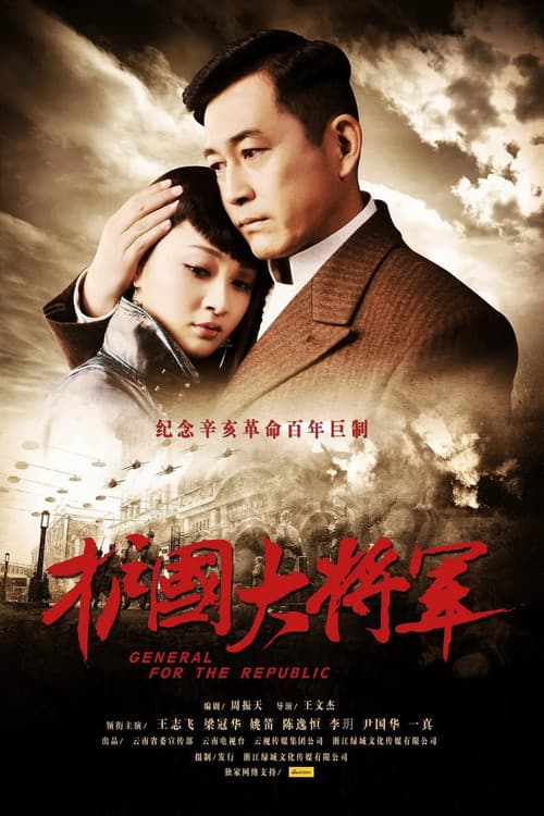 护国大将军 poster