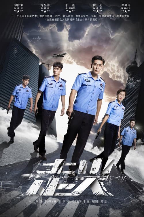 Accidental Firing poster