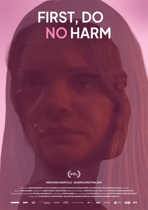 First, Do No Harm poster