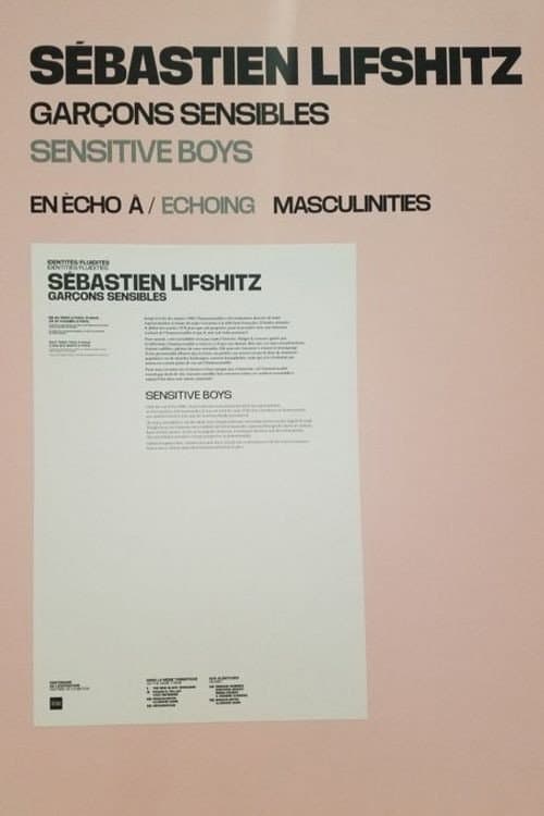 Sensitive Boys poster