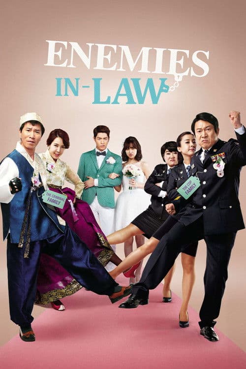 Enemies In-Law poster