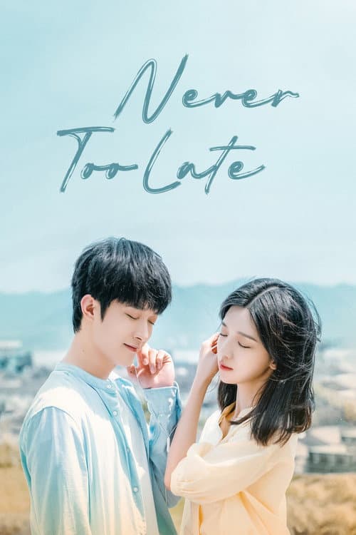 Never Too Late poster