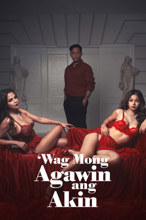 Wag Mong Agawin Ang Akin poster