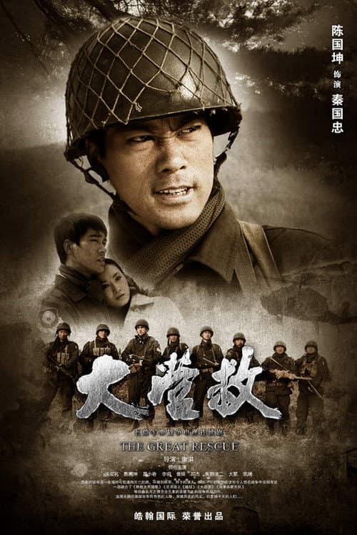国际大营救 poster