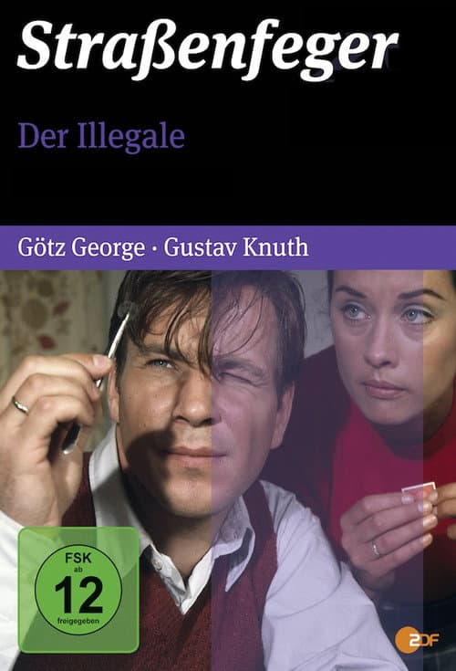 The Illegal poster