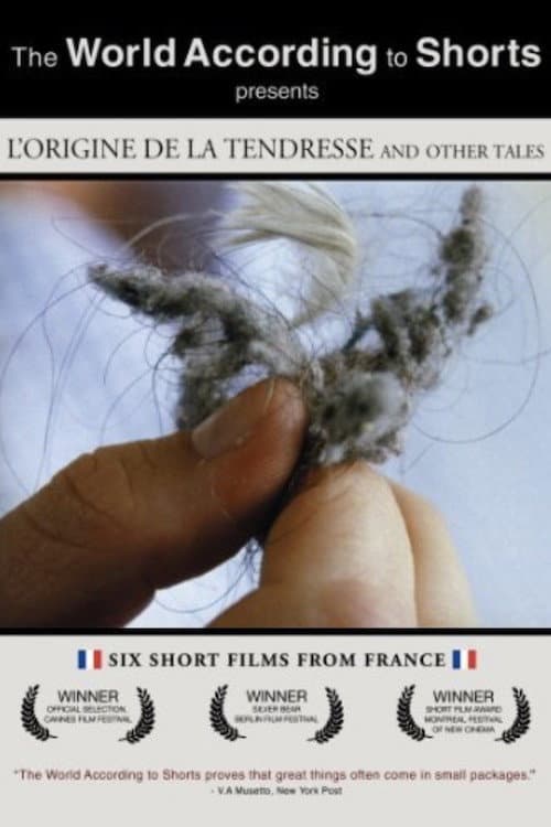 L'origine de la tendresse poster