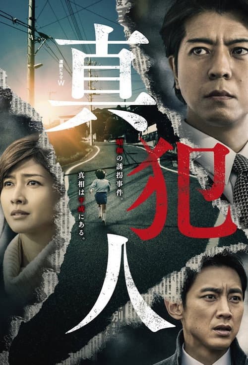 The Real Culprit poster