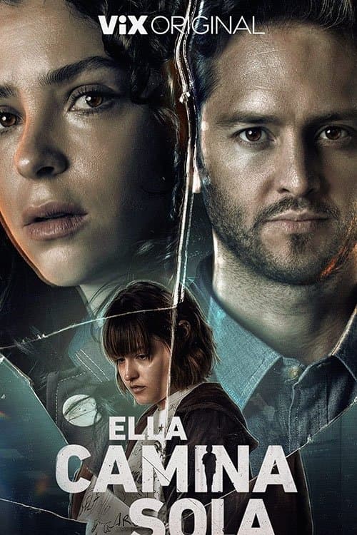 She Walks Alone poster