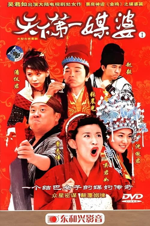 Tian Xia Di Yi Mei Po poster