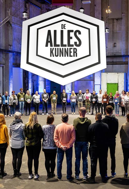 De Alleskunner poster