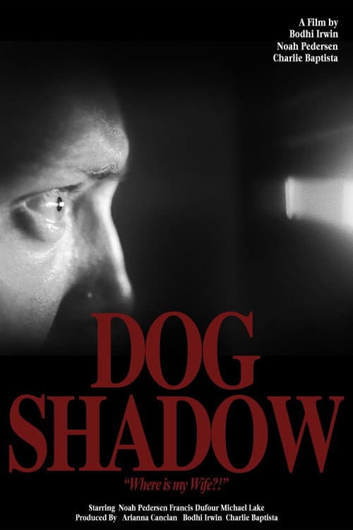 Dog Shadow poster
