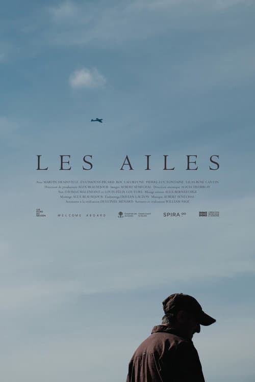 Les ailes poster