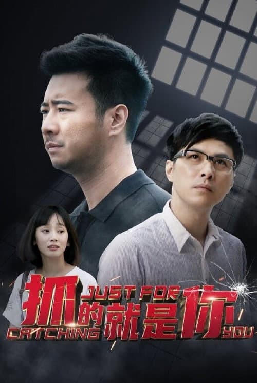 抓的就是你 poster