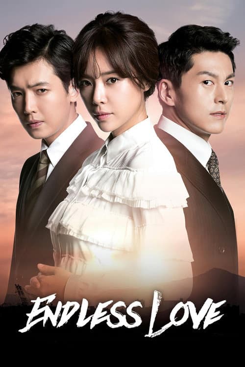 Endless Love poster