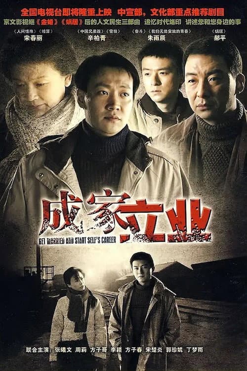 成家立业 poster