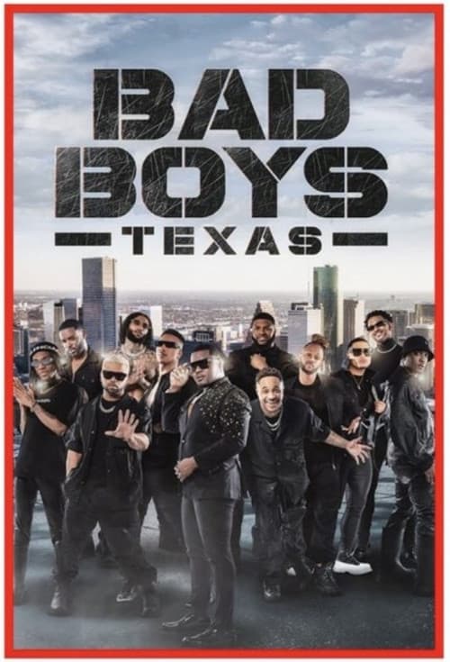 Bad Boys Texas poster