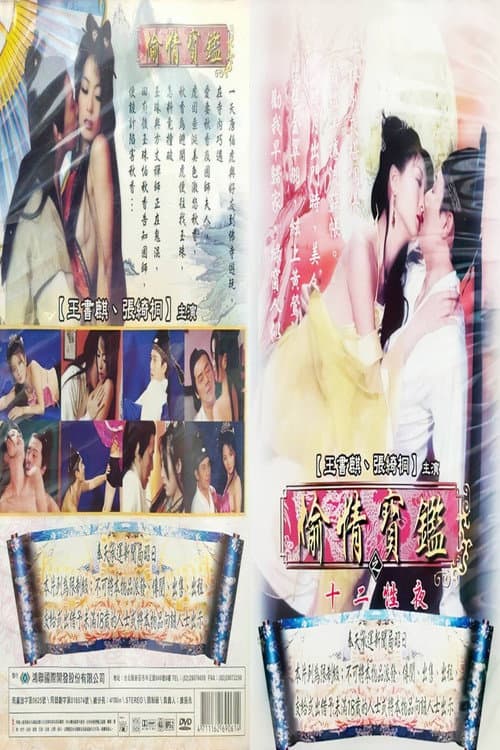 偷情宝鉴之十二性夜 poster