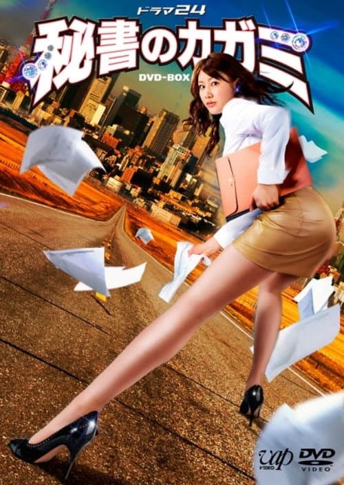 秘書のカガミ poster