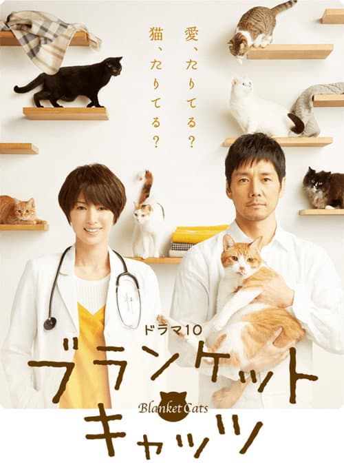 Blanket Cats poster