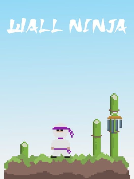 Wall Ninja poster