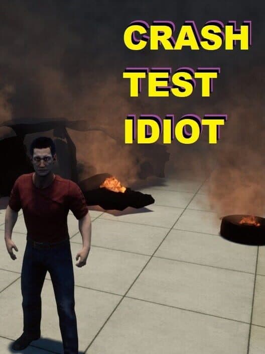 Crash Test Idiot poster