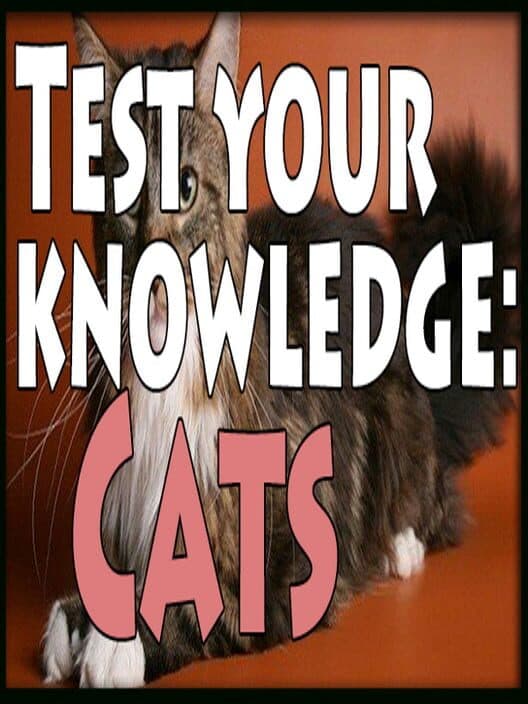 Test Your Knowledge: Cats poster