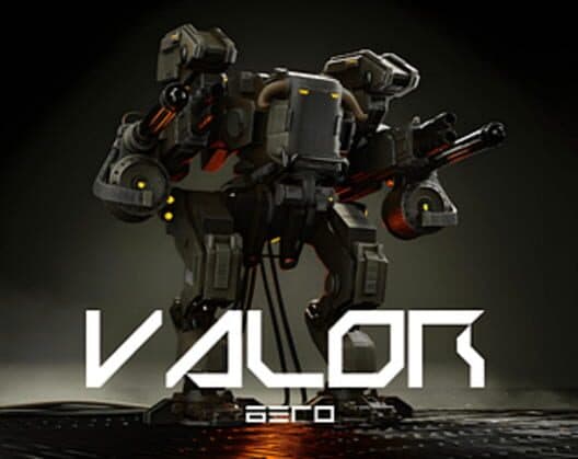 Valor poster