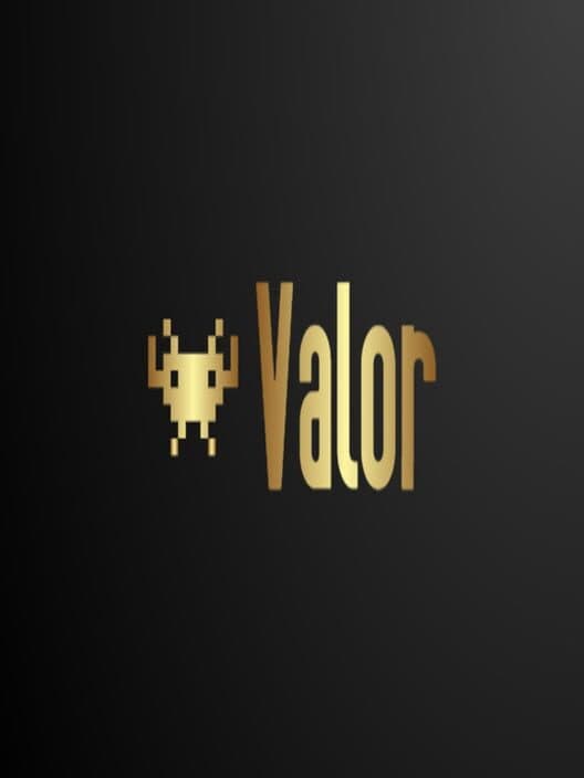 Valor poster