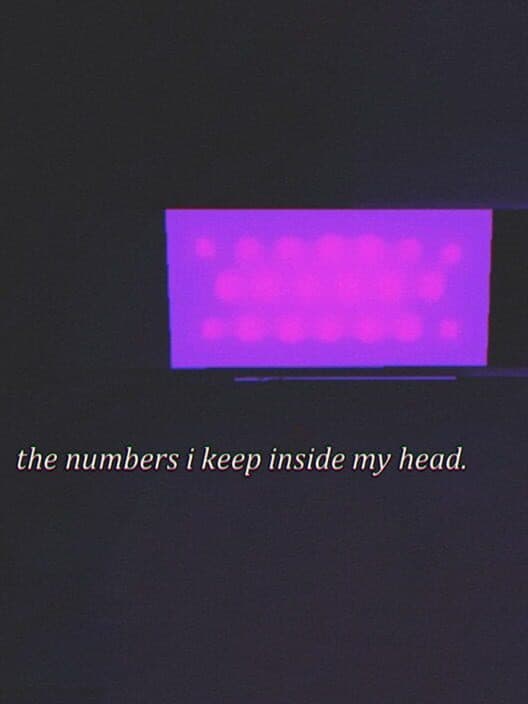 The Numbers I Keep In My Head poster