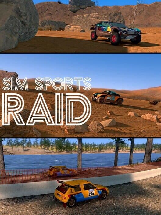 Sim Sports Raid poster