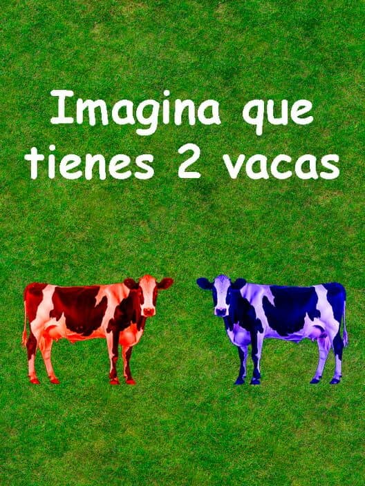 Imagina que tienes 2 vacas poster