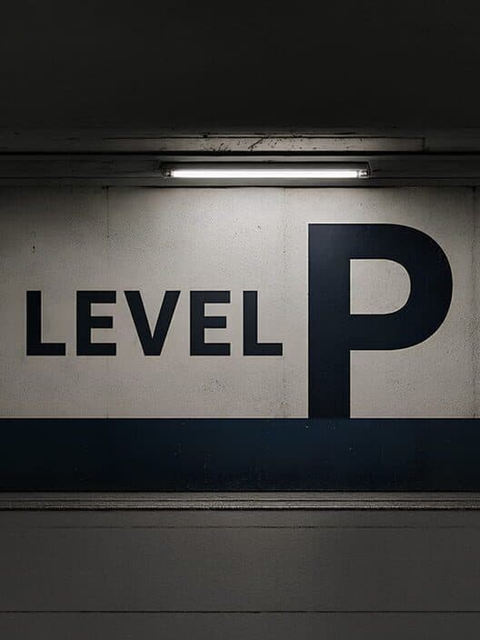 Level P poster