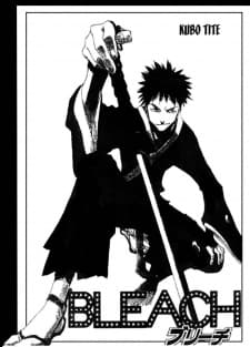 Bleach Short Story Edition poster