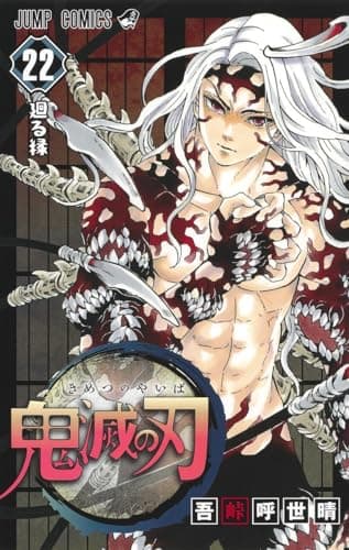 Demon Slayer: Kimetsu no Yaiba, Vol. 22 poster