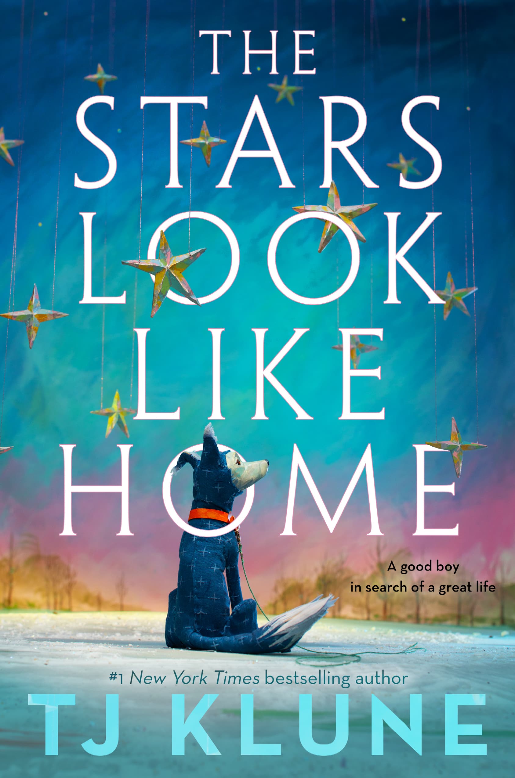 The Stars Look Like Home poster